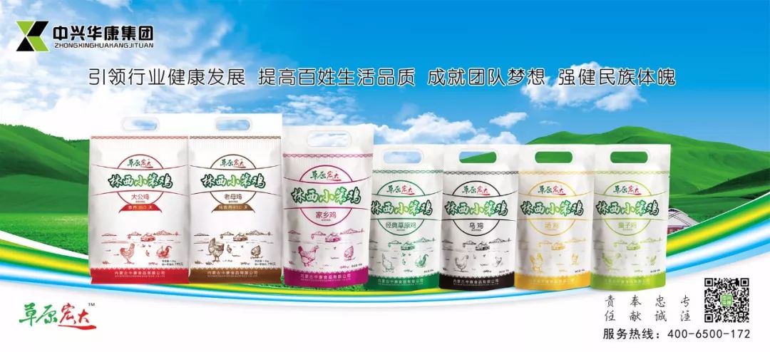 草原宏达林西小笨鸡上市啦!